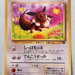Japanese Eevee Pokémon Trading Card Holo